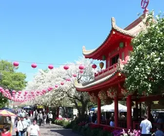 Festival da Primavera oferece atrações em São Bernardo